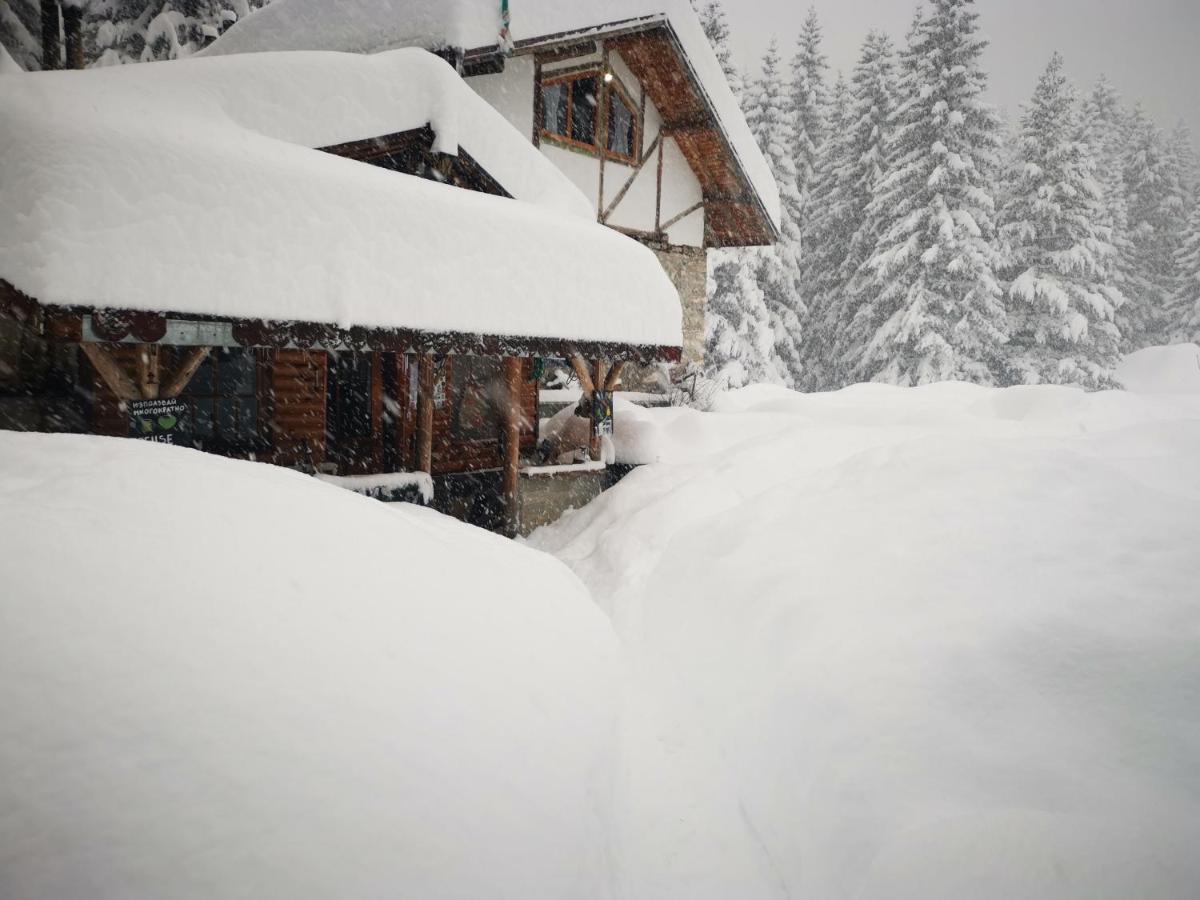 Villa Lovna Hut à Panichishte Extérieur photo