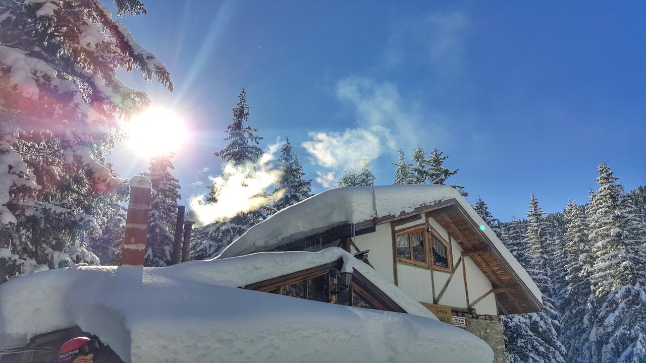 Villa Lovna Hut à Panichishte Extérieur photo