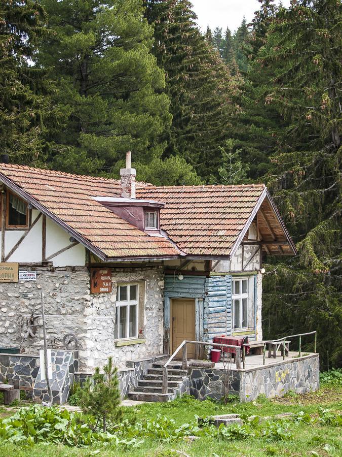 Villa Lovna Hut à Panichishte Extérieur photo