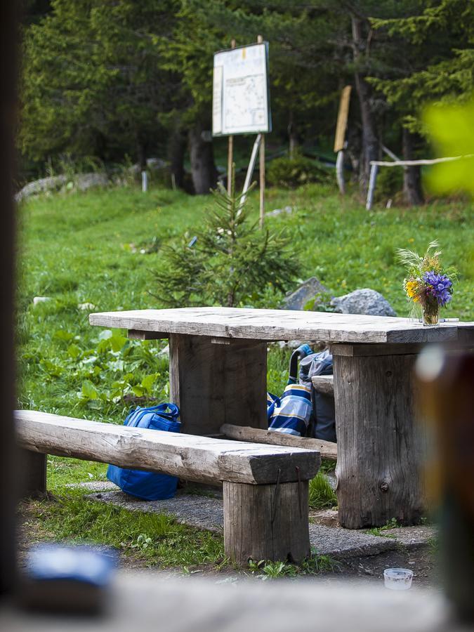 Villa Lovna Hut à Panichishte Extérieur photo