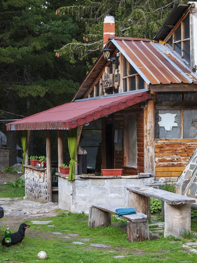 Villa Lovna Hut à Panichishte Extérieur photo