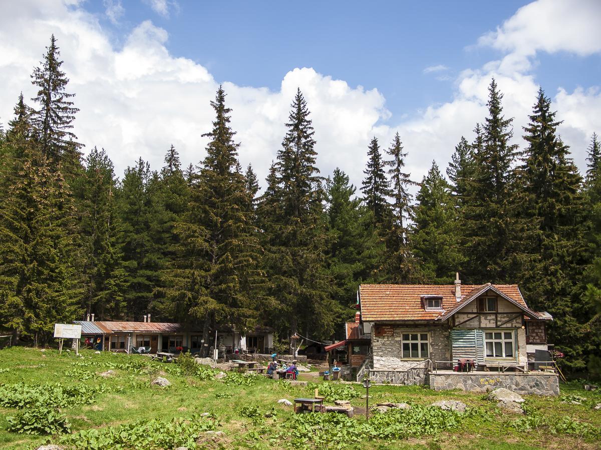 Villa Lovna Hut à Panichishte Extérieur photo