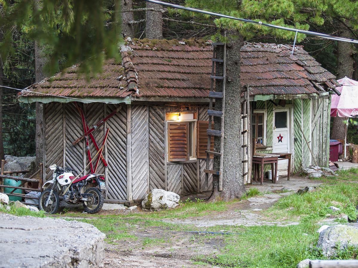 Villa Lovna Hut à Panichishte Extérieur photo